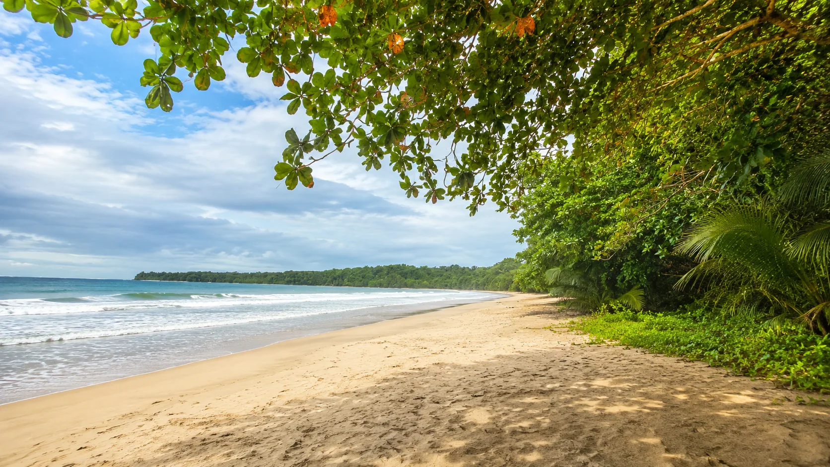 Cahuita Wildlife & Caribbean Beach