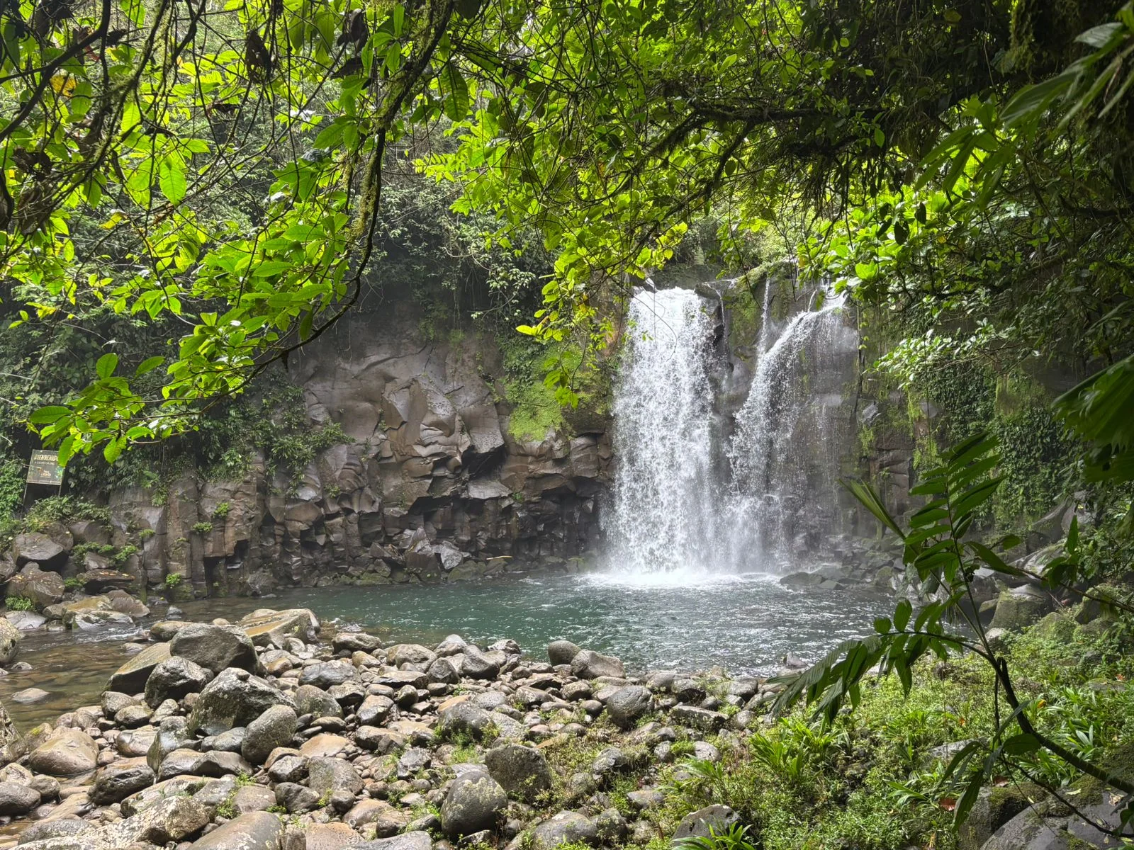 Forest waterfall at an attraction near Guápiles