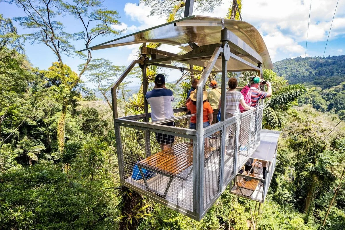 Rainforest Skywalk & Tárcoles River
