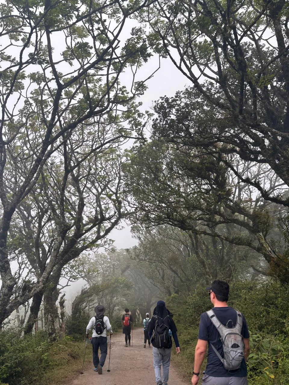 Monteverde Cloud Forest & Coffee