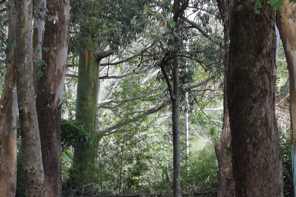 Curated Costa Rica excursion photograph