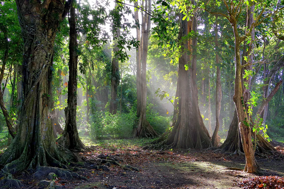 Curated Costa Rica excursion photograph