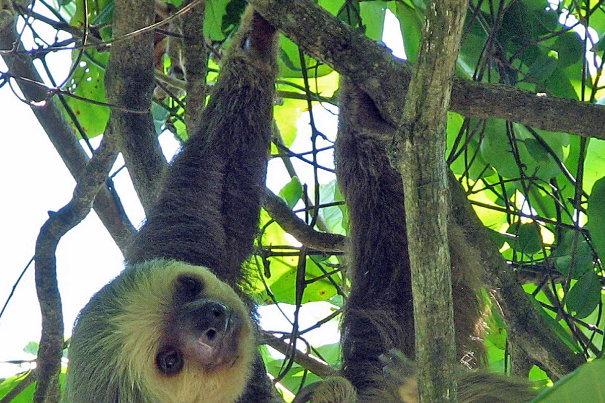 Curated Costa Rica excursion photograph