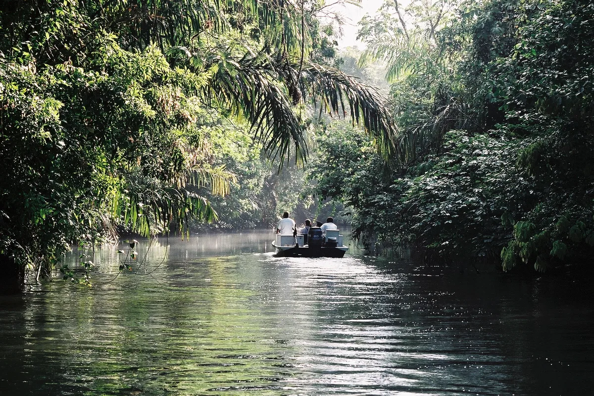 Curated Costa Rica excursion photograph