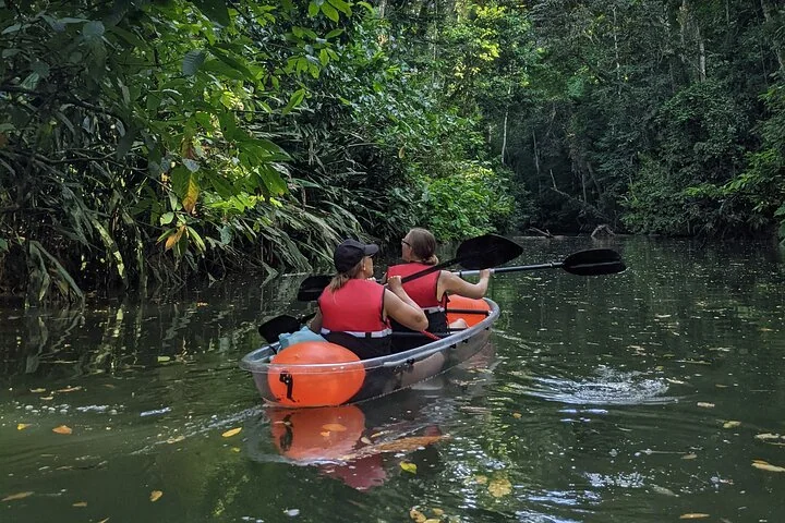 Guests paddling a kayak through a narrow rainforest canal in Limón