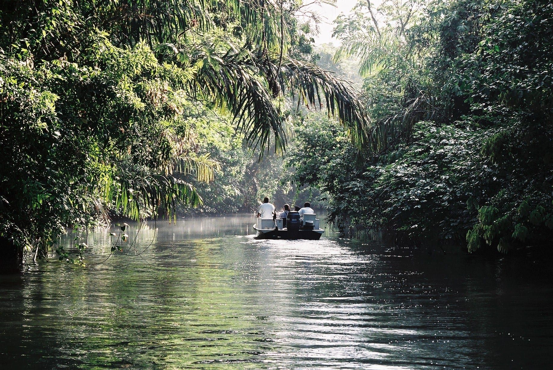 Boat navigating the Tortuguero canals