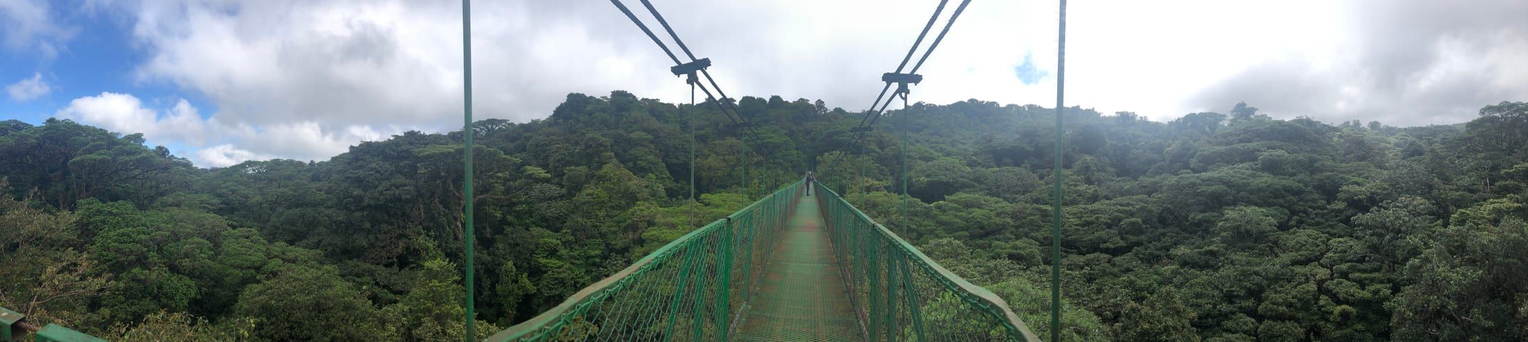 Rainforest Skywalk & Tárcoles River