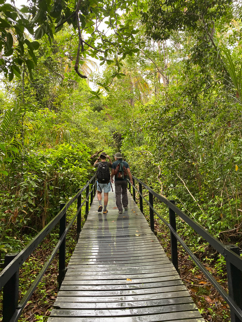 Guided national park walk